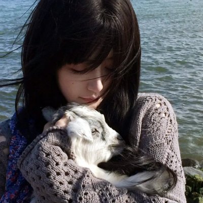 犬爱奇缘